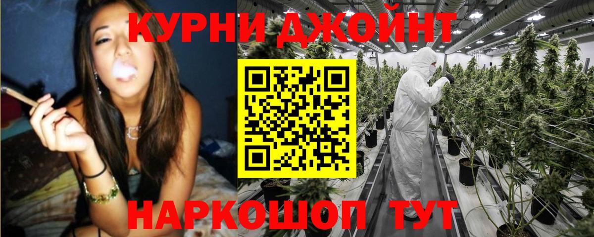 Бошки Шишки сатива  Конопля планчик  Рязань  Вход с VPN 